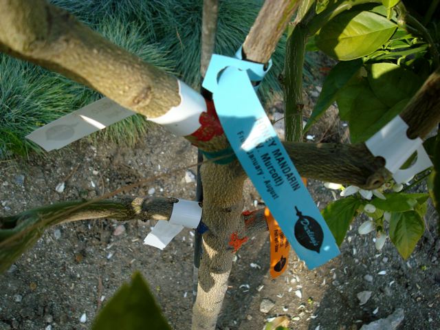 [DSC06368.jpg]