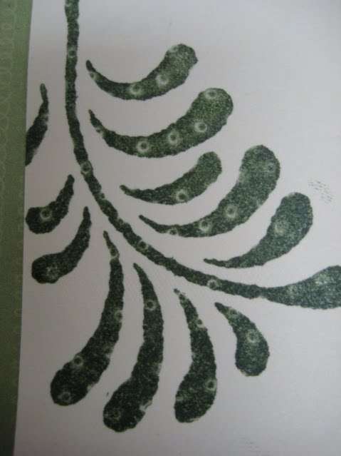 [fern+3_001.JPG]