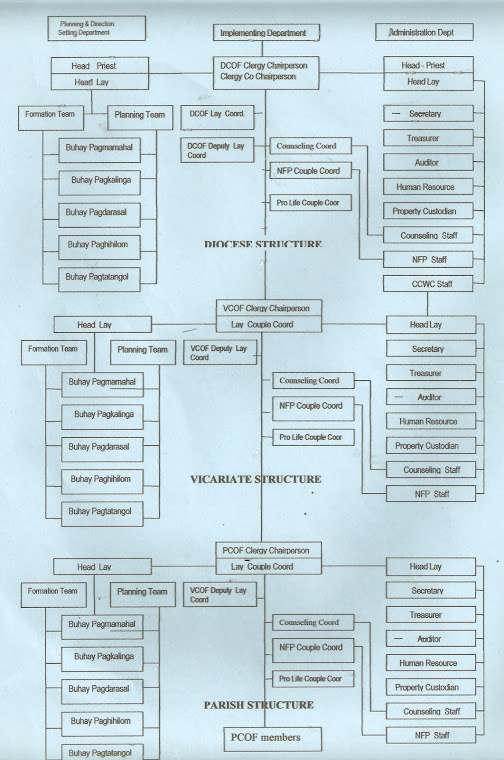 Org. structure