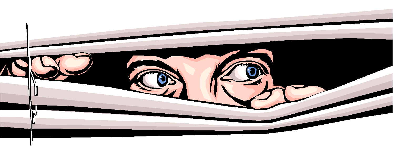 [spy.gif]