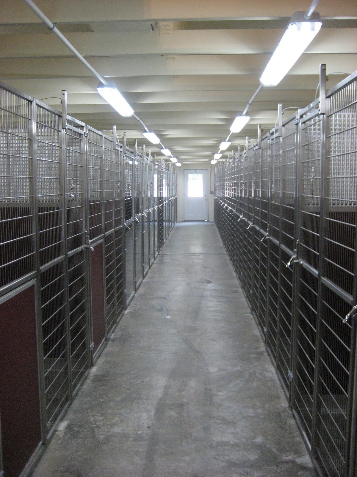 Best Friends Bethany Our New Pet Lodge!