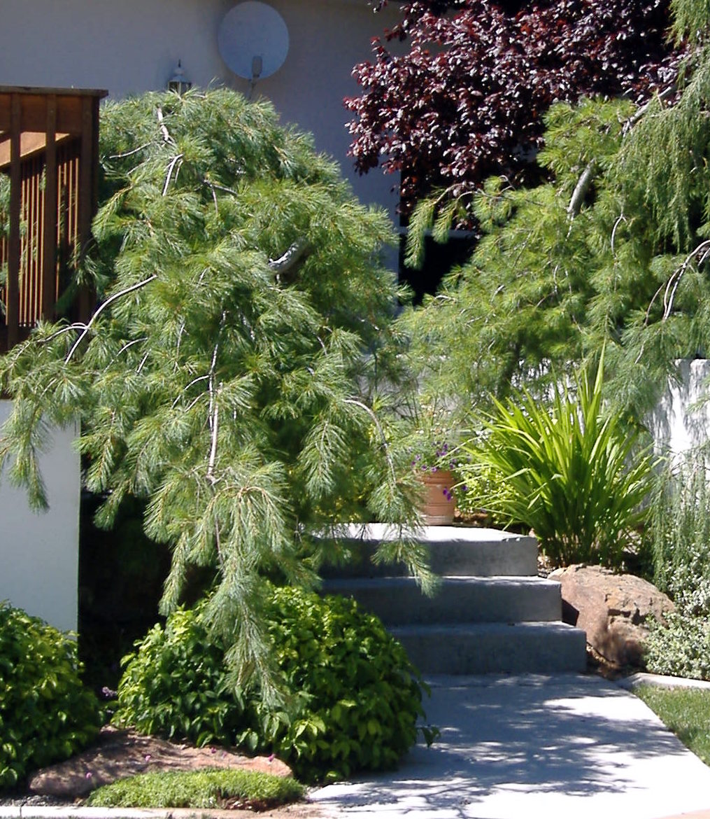 rencontres pointe noire congo