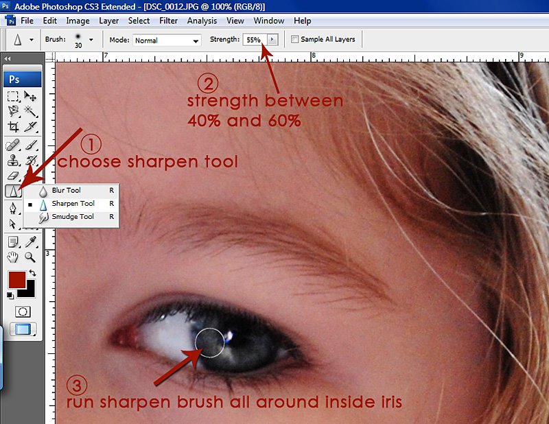 [12+sharpen+iris.JPG]