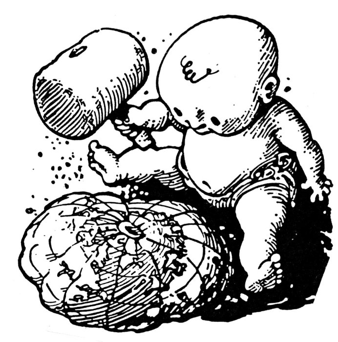 [Earth08.sized.jpg]