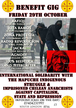 29th October BenefitGig - International Solidarity with the Mapuche Indigenous Struggle