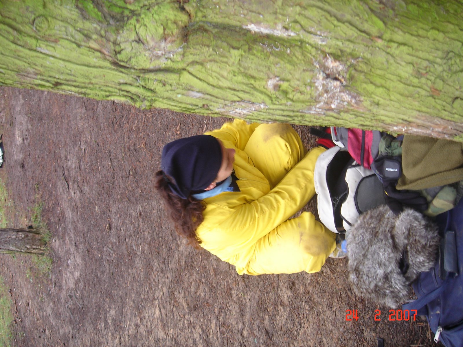 [DSC01103.JPG]