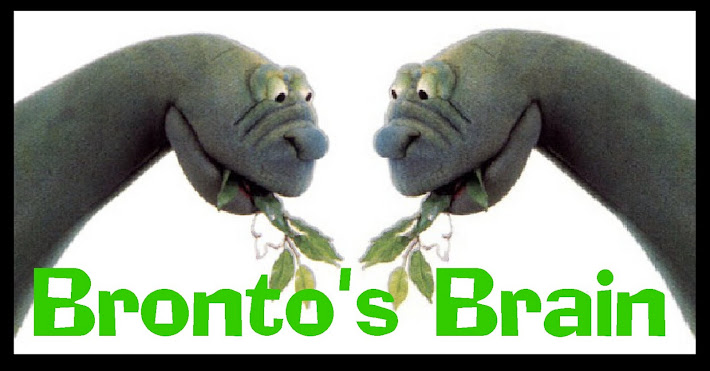Bronto's Brain