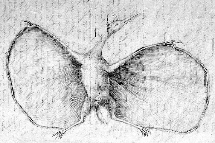 History of Geology: When pterosaurs were still mammals: evolving views of  the flying dragons