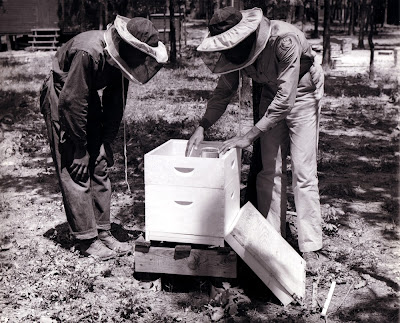 Caswell County Historical Association: Soil Conservation Service Caswell County Historical Association: Soil Conservation Service