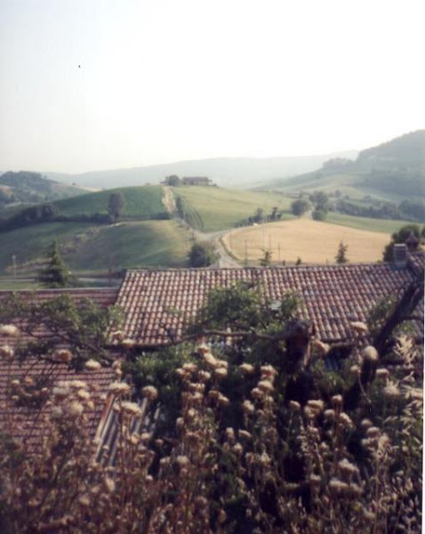 15 / Emilia-Romagna