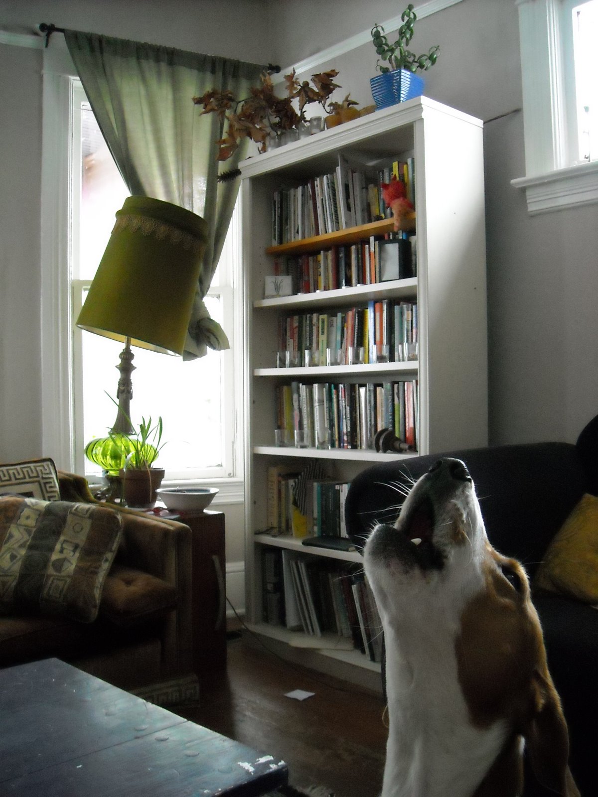 [portland+in+the+snow+004.JPG]