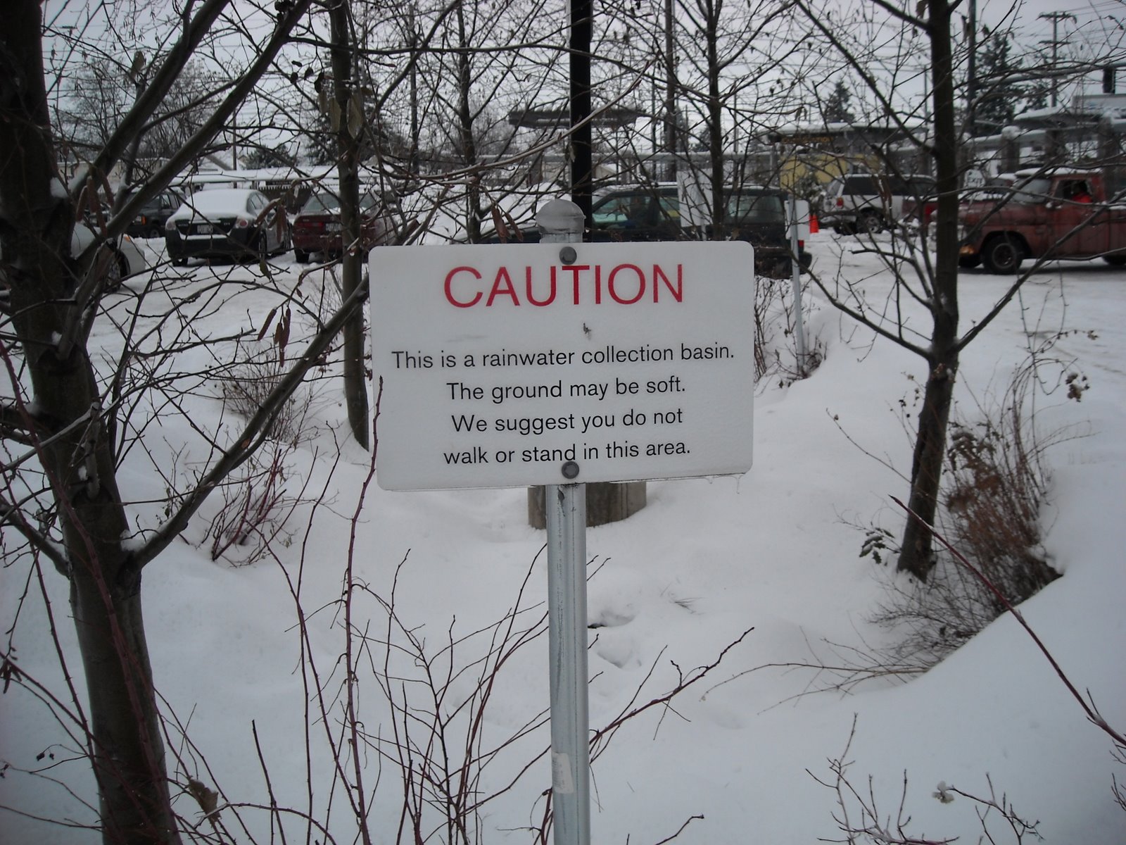 [portland+in+the+snow+038.JPG]