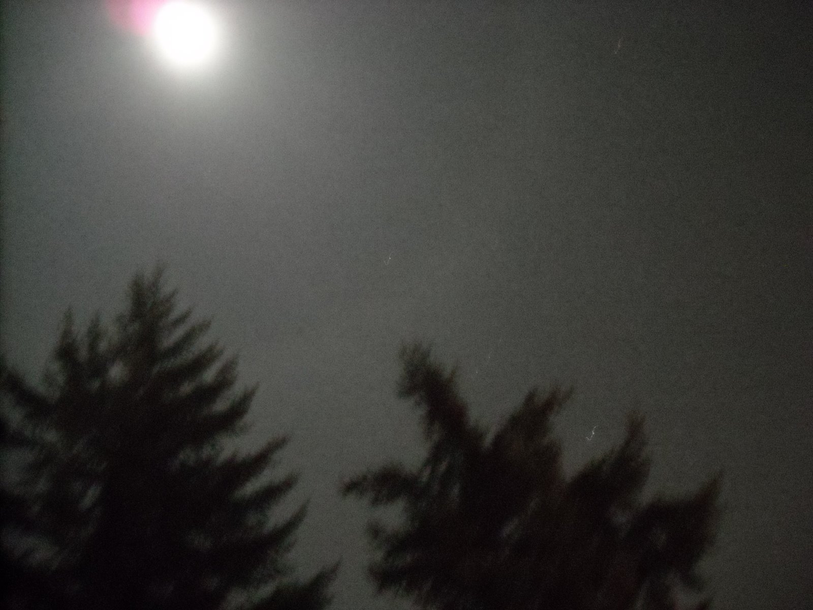 [the+moon,+bedroom+032.JPG]