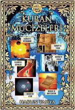 Kuran Mucizeleri.com