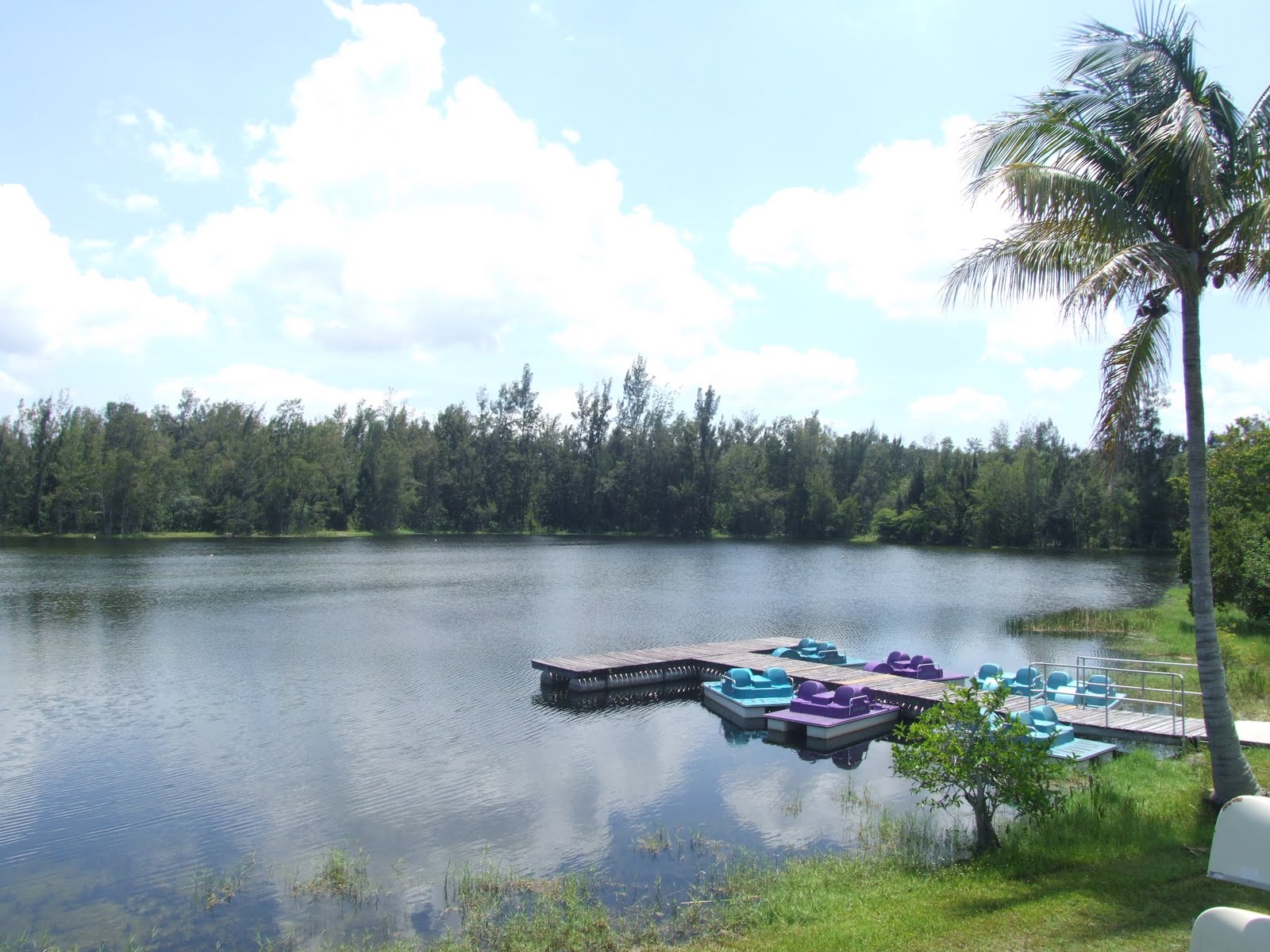 Sudeep's BLOG Tree Tops Park , Davie,FL