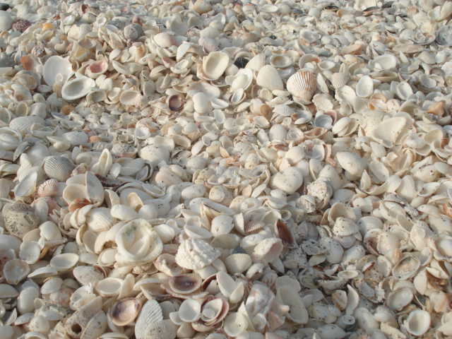 [Picture+066.jpg]