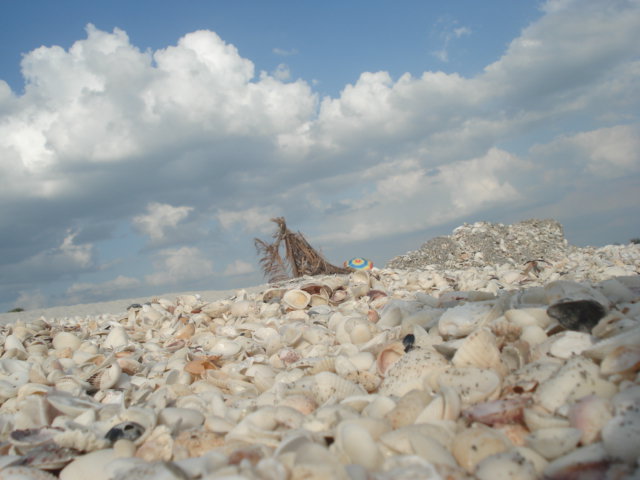 [Picture+067.jpg]