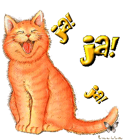 [C_jajaja_GatoRiendose.gif]