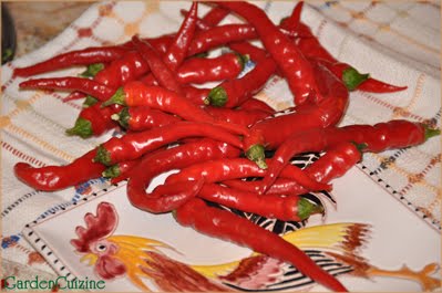 [GC-hot-cayenne-peppers.jpg]