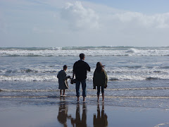 A visit to Piha