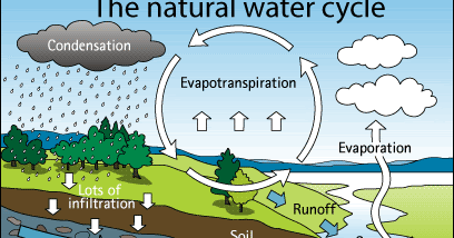 Social studies are cool: THE WATER CYCLE