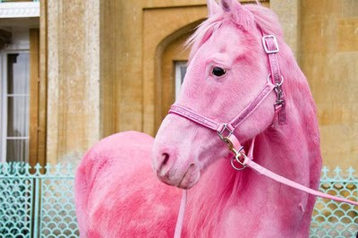 pink+horse.jpg