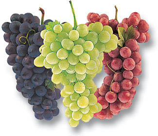 [Grapes.jpg]
