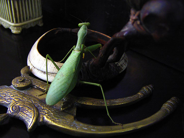 [crw_3015.jpg]