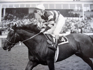 Lester Piggott Sir Ivor Junglekey Co Uk Image