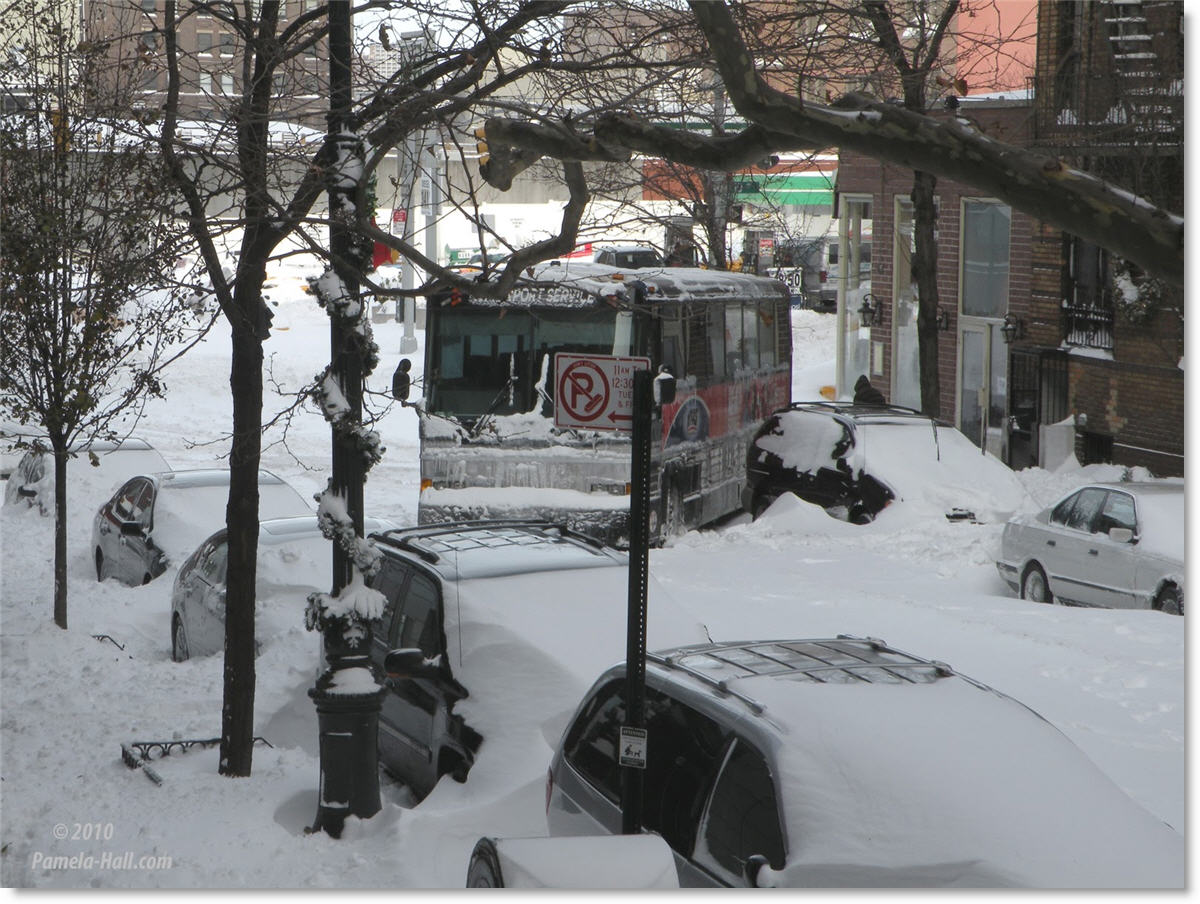 School Delays Long Island Ny School Delays Long Island Ny