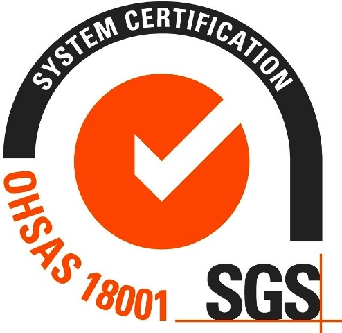 Curso: OHSAS 18001 SGS - Sistema de Gestión en Seguridad y Salud Ocupacional