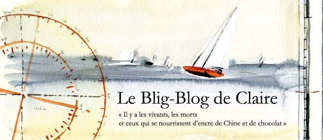 le blig-blog de claire