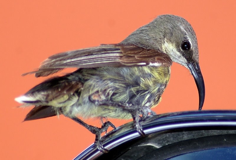 Featured image of post Handy Hintergrundbilder Seifenblasen