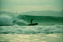 SG* SURF GALLERY