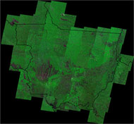 [MATOGROSSO_DESMATAMENTO.jpg]