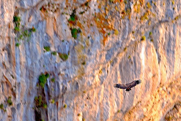 [IMG_4132_2+(1).jpg]