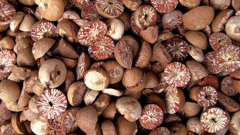 Kết quả hình ảnh cho Traders hunting for dried betel nuts