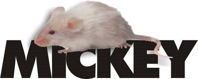 [MICKEY.jpg]