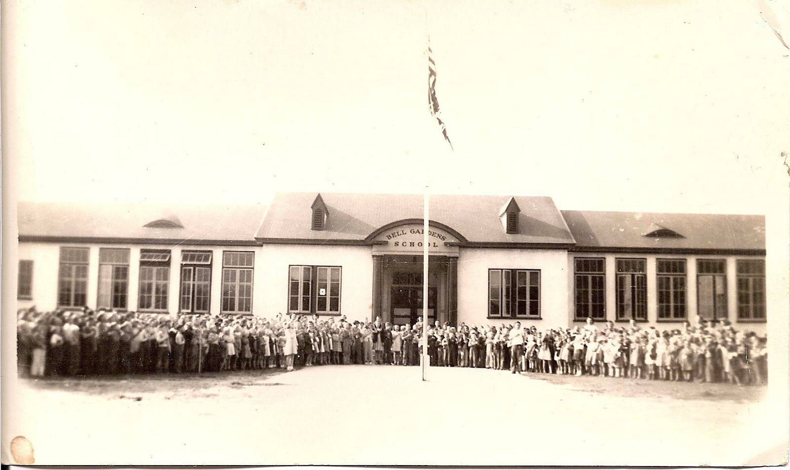 Penny's Genes January 2011