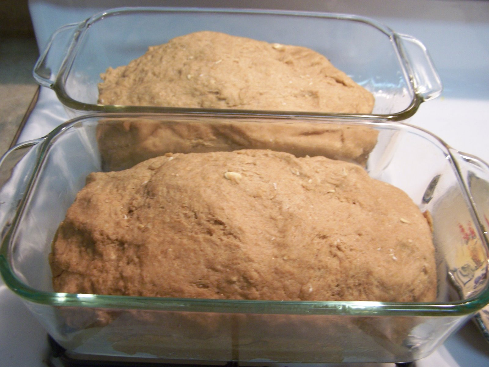 [turkeys+and+making+bread+014.JPG]