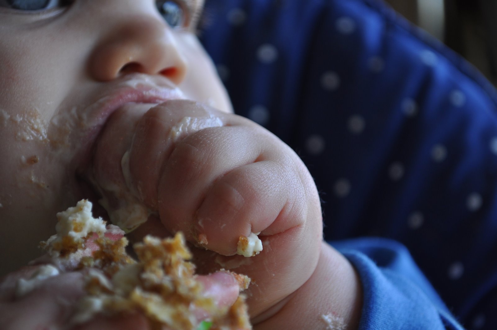 [Gabe's+birthday+227.JPG]