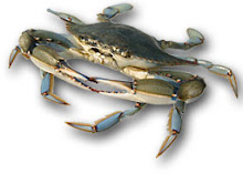 MARYLAND'S BLUE CRAB  EMAIL GINN@GOEASTON.NET  MOBILE +1 410 310 4966