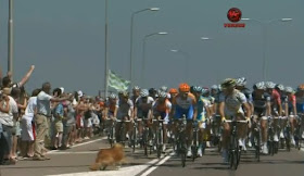 2010 Tour De France tour de france 2010. 2010 Tour De France