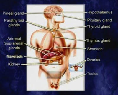 My Favorite Excerpts: noviembre 2009