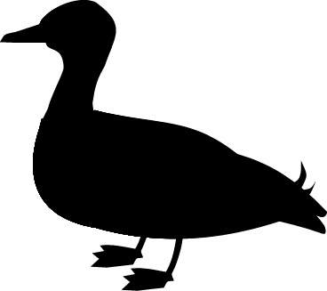 Selected Clipart: "duck-in-easter-egg-clipart.gif"