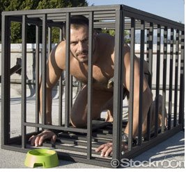 [crop+cage.bmp]