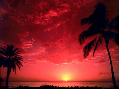 South-Pacific-Sunset.jpg