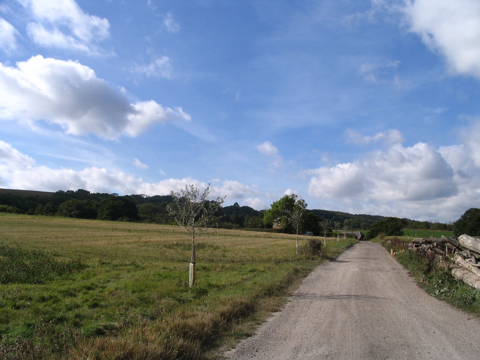 [IMG_3141.JPG]