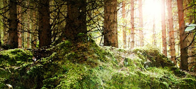 Symbols In Literature