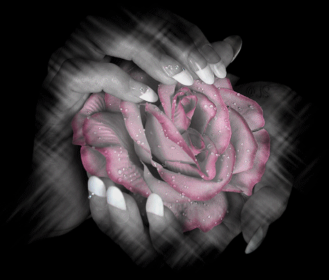 [5192073c862a960bae3c68b62b1c6261_web.gif]